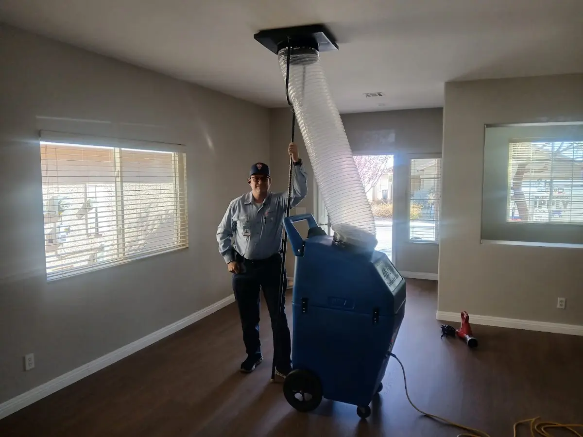 Professional Dryer Vent Cleaning work inside a Rowlett home